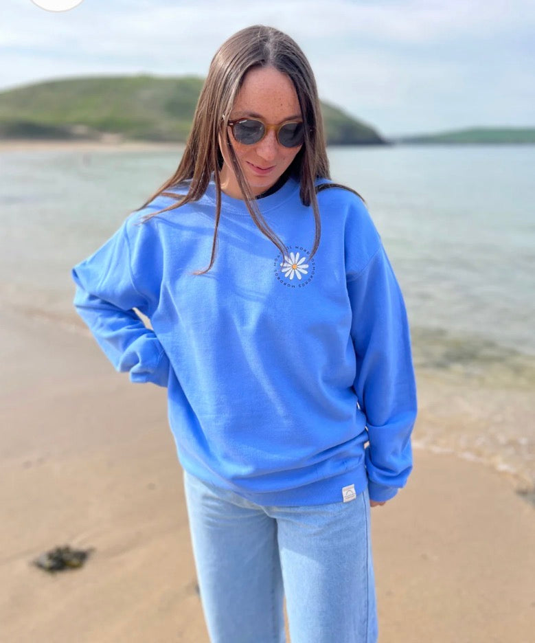 Ladies blue daisy jumper size 8/10