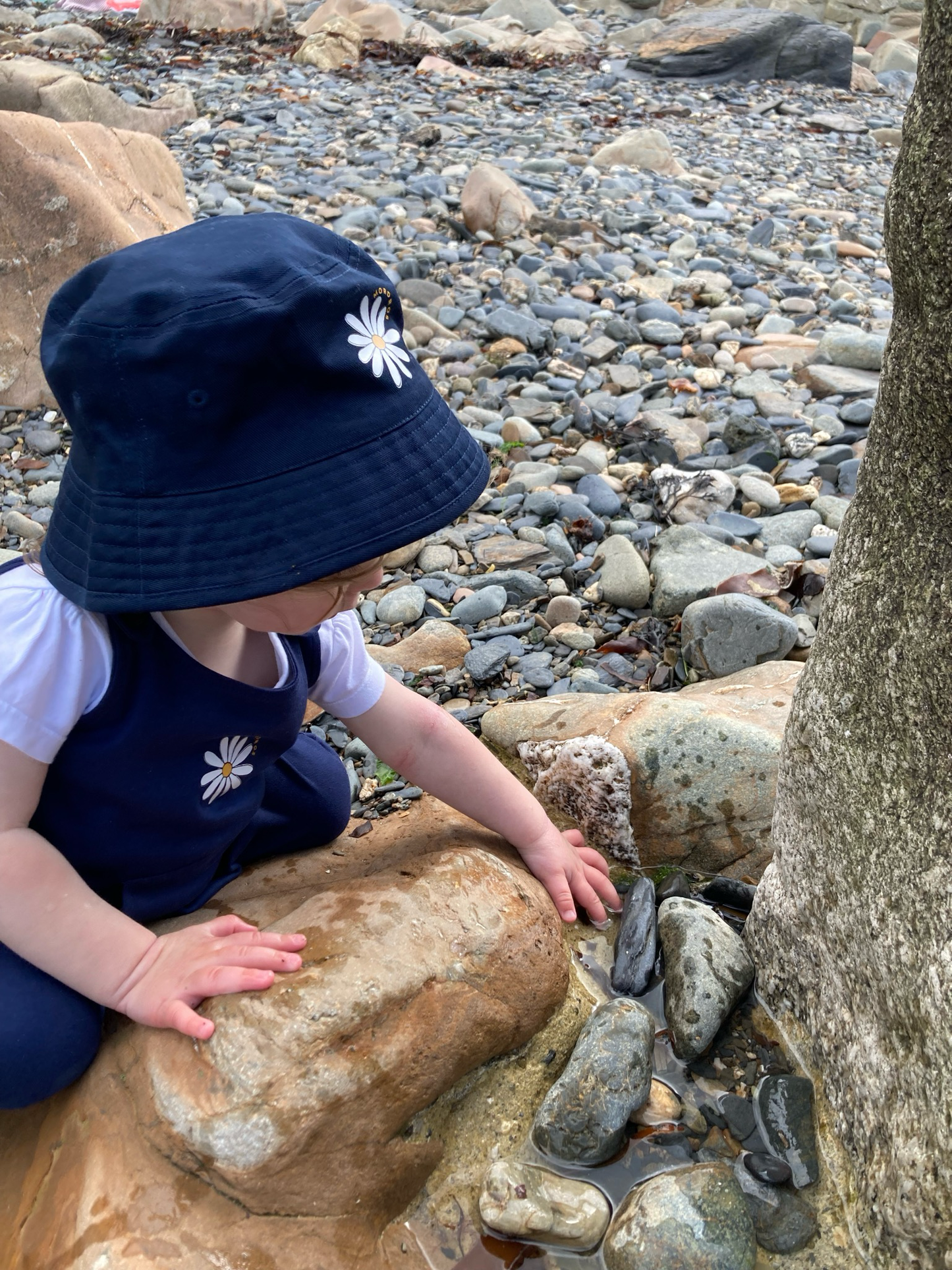 Navy Organic Cotton Daisy Dungarees