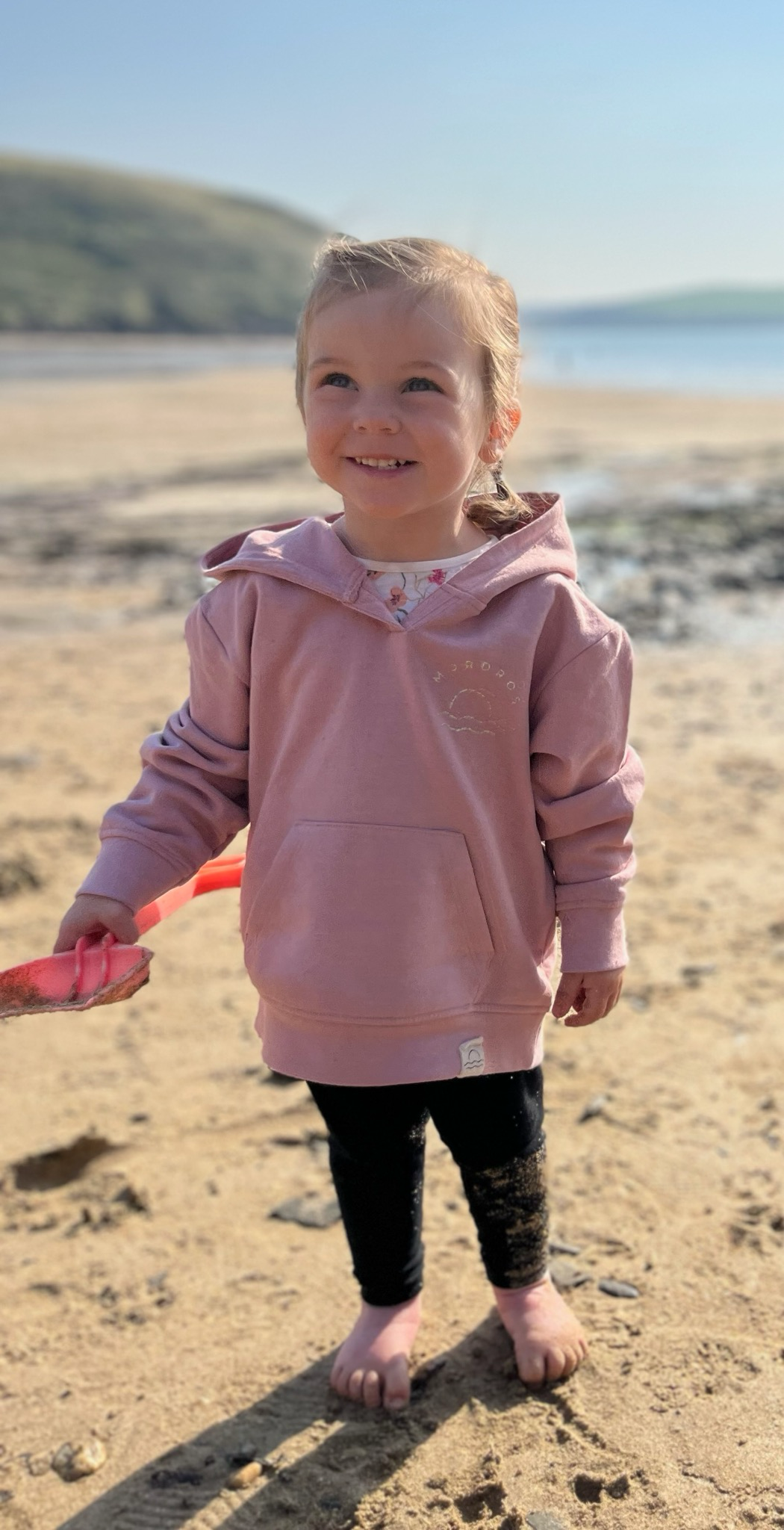 100% Recycled Cotton Dusty Pink Sunset Hoody