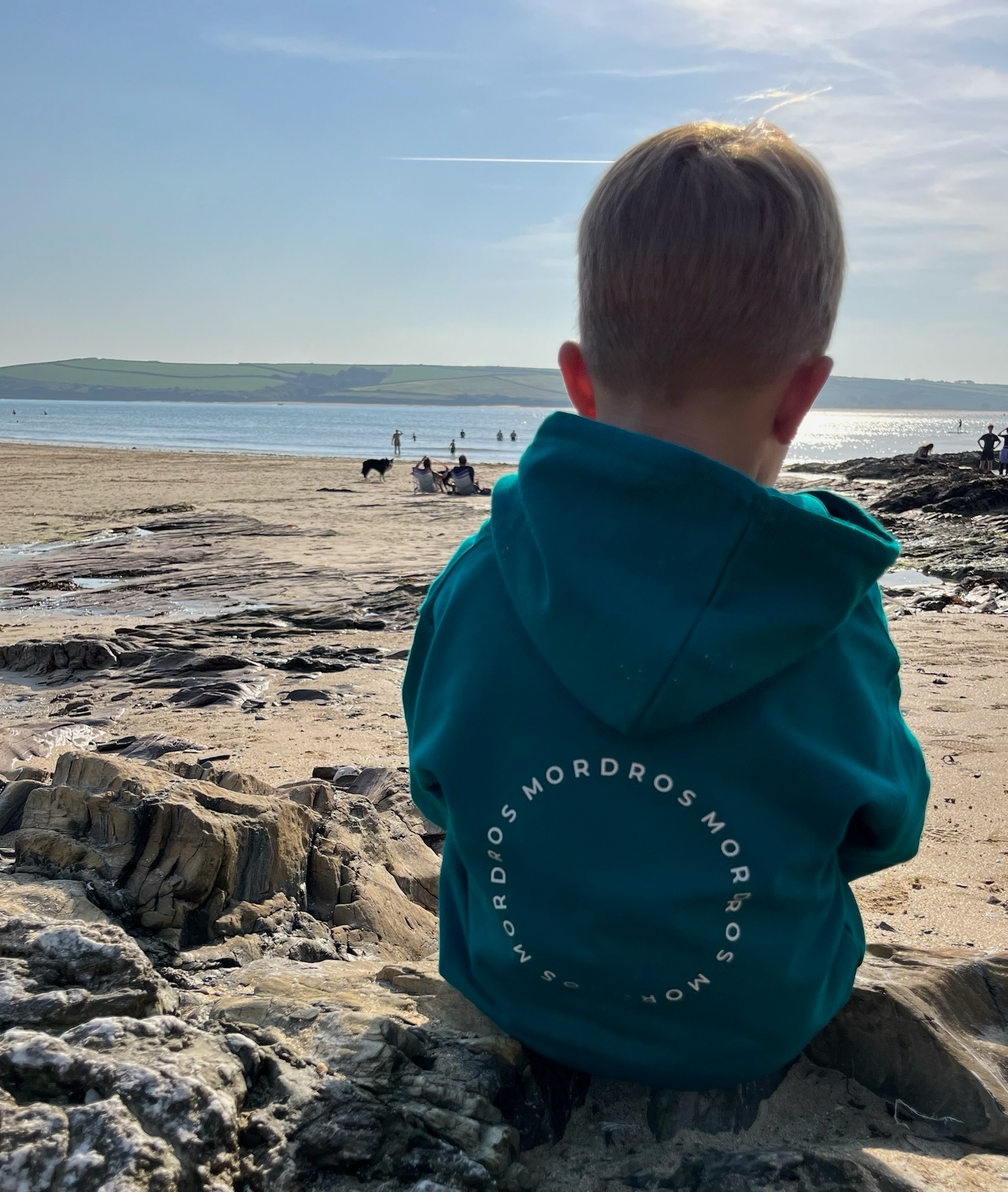 Teal Circle Hoody