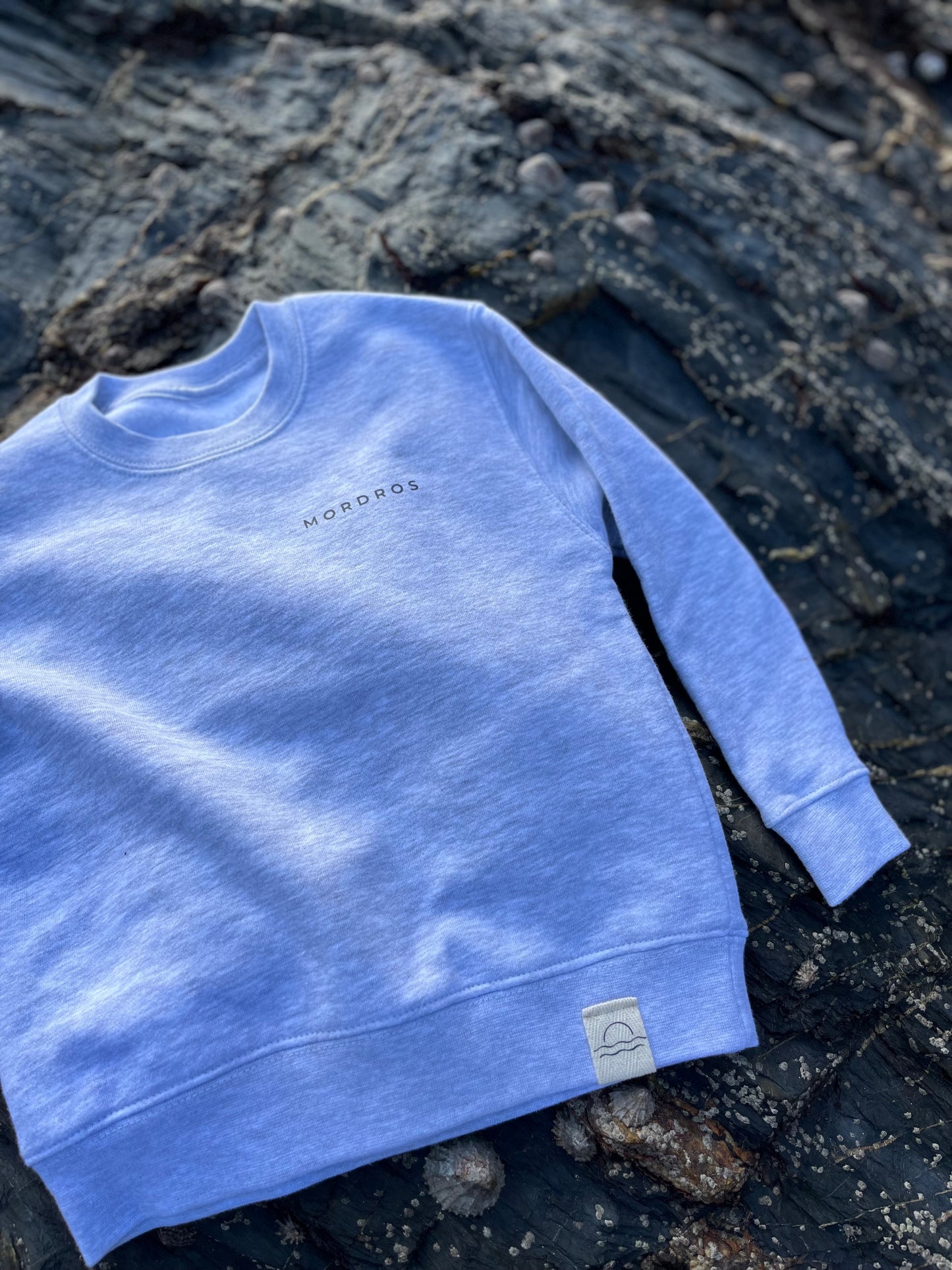 Grey Basking Shark Jumper
