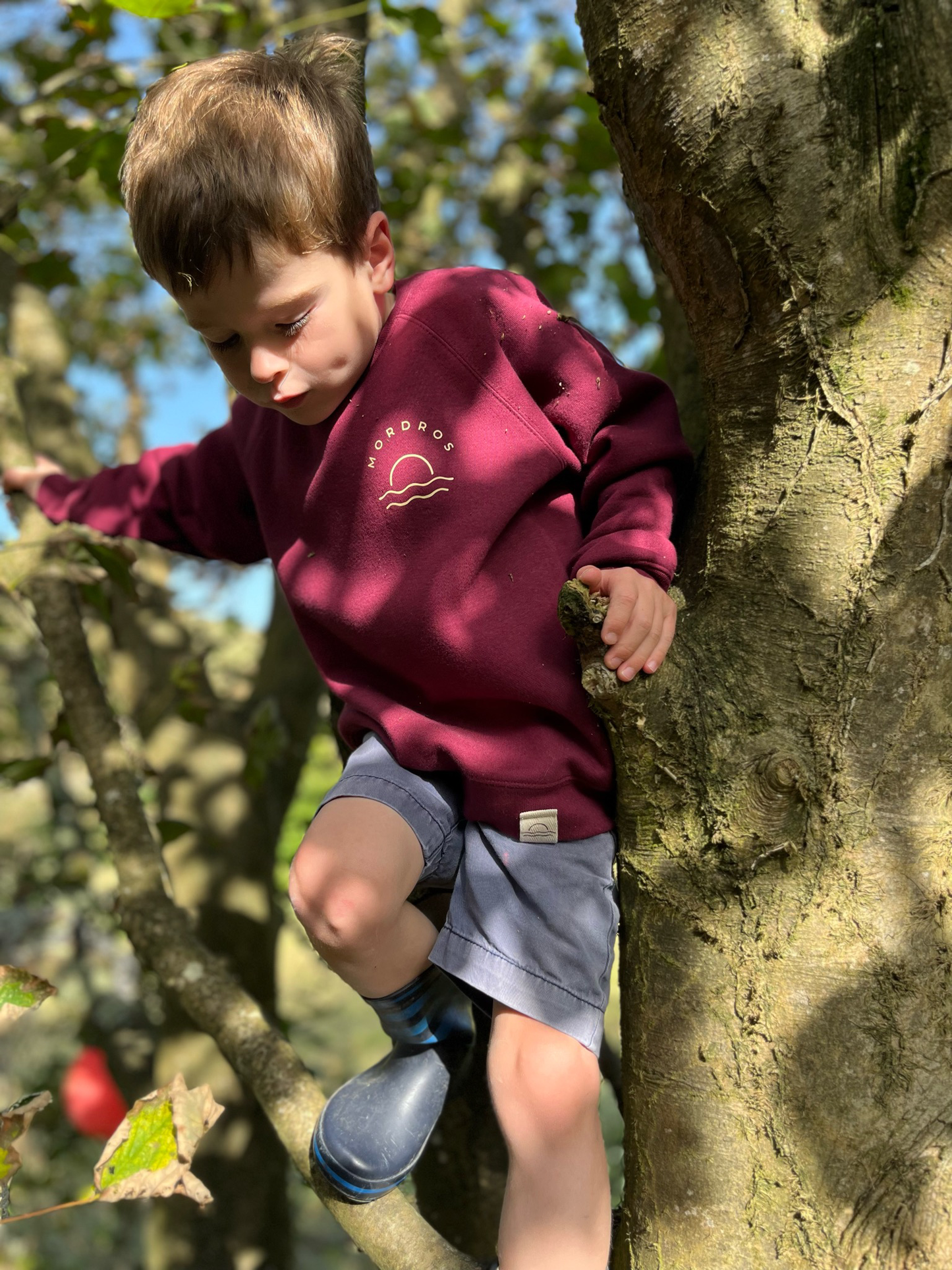 Burgundy Raglan Jumper