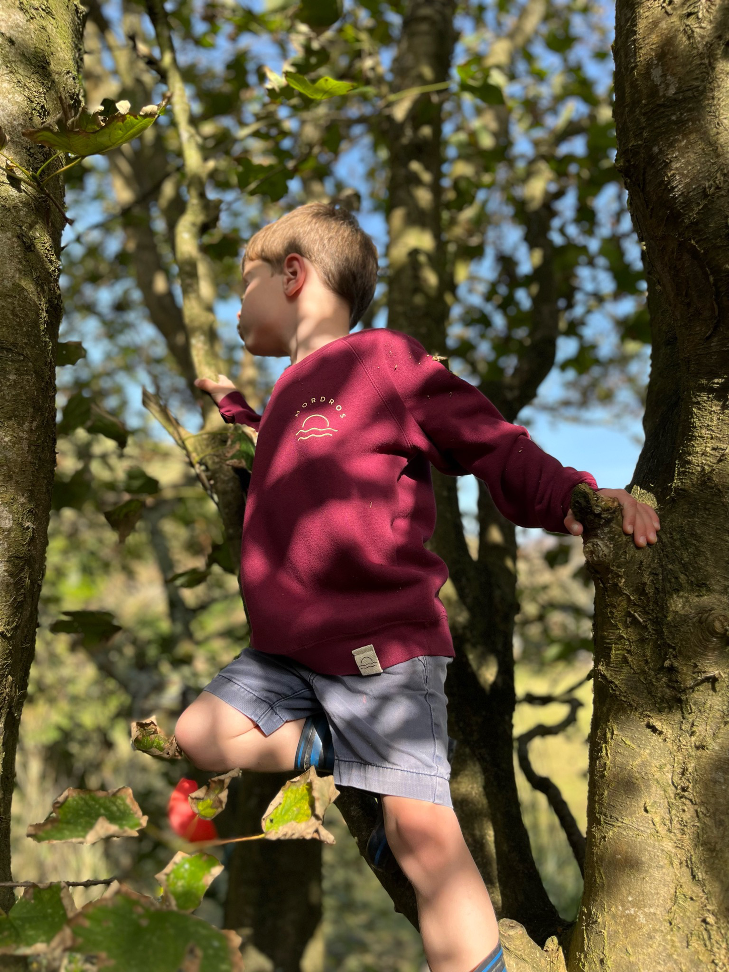 Burgundy Raglan Jumper