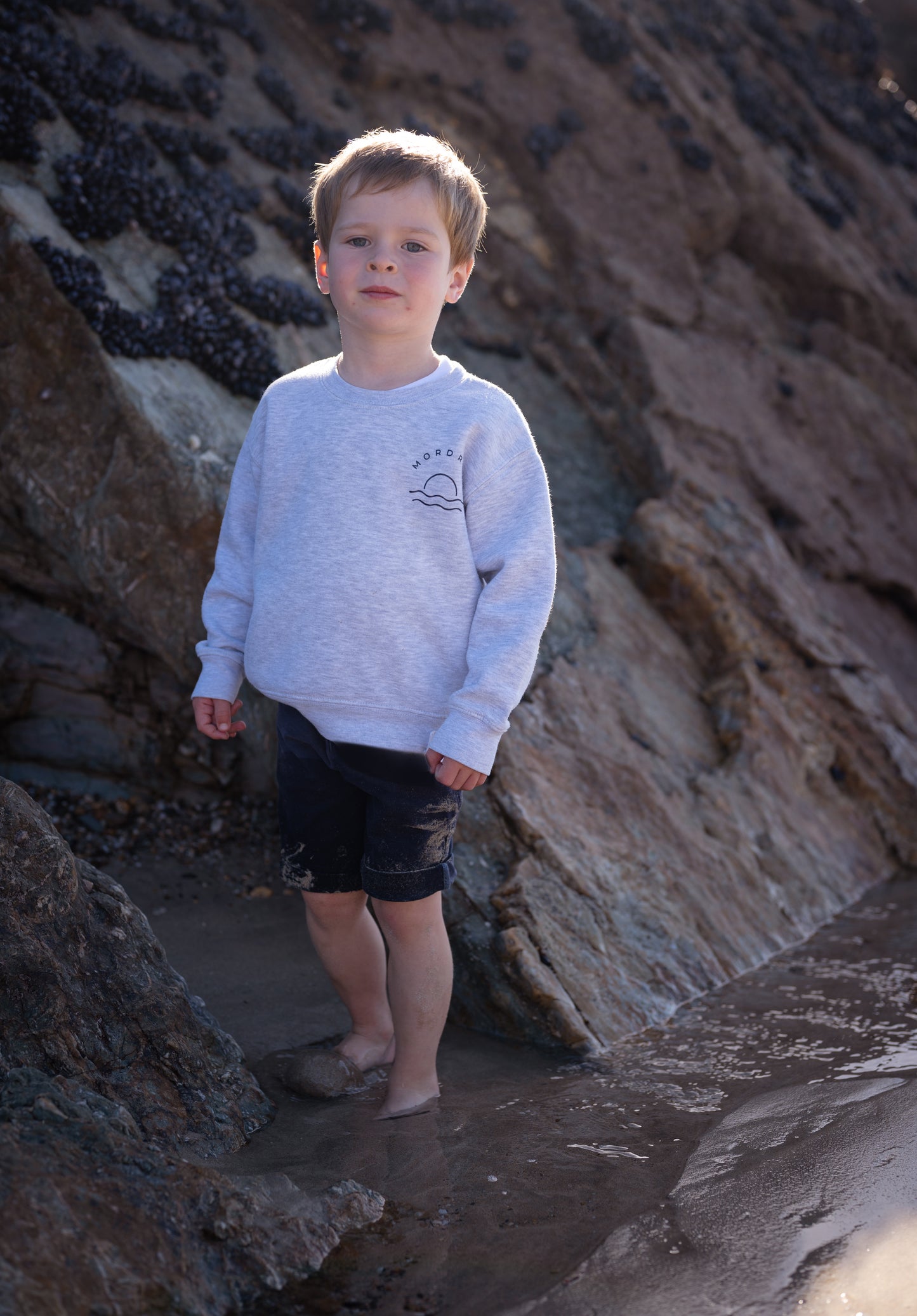 Grey Sunset Jumper