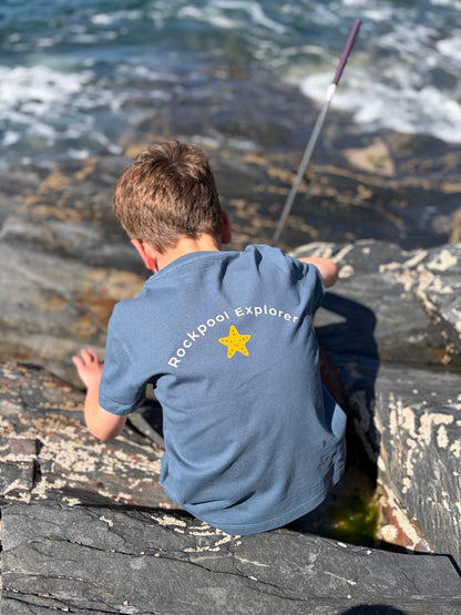 Petrol Rockpool Explorer Tee