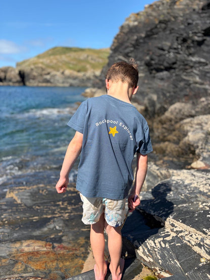 Petrol Rockpool Explorer Tee