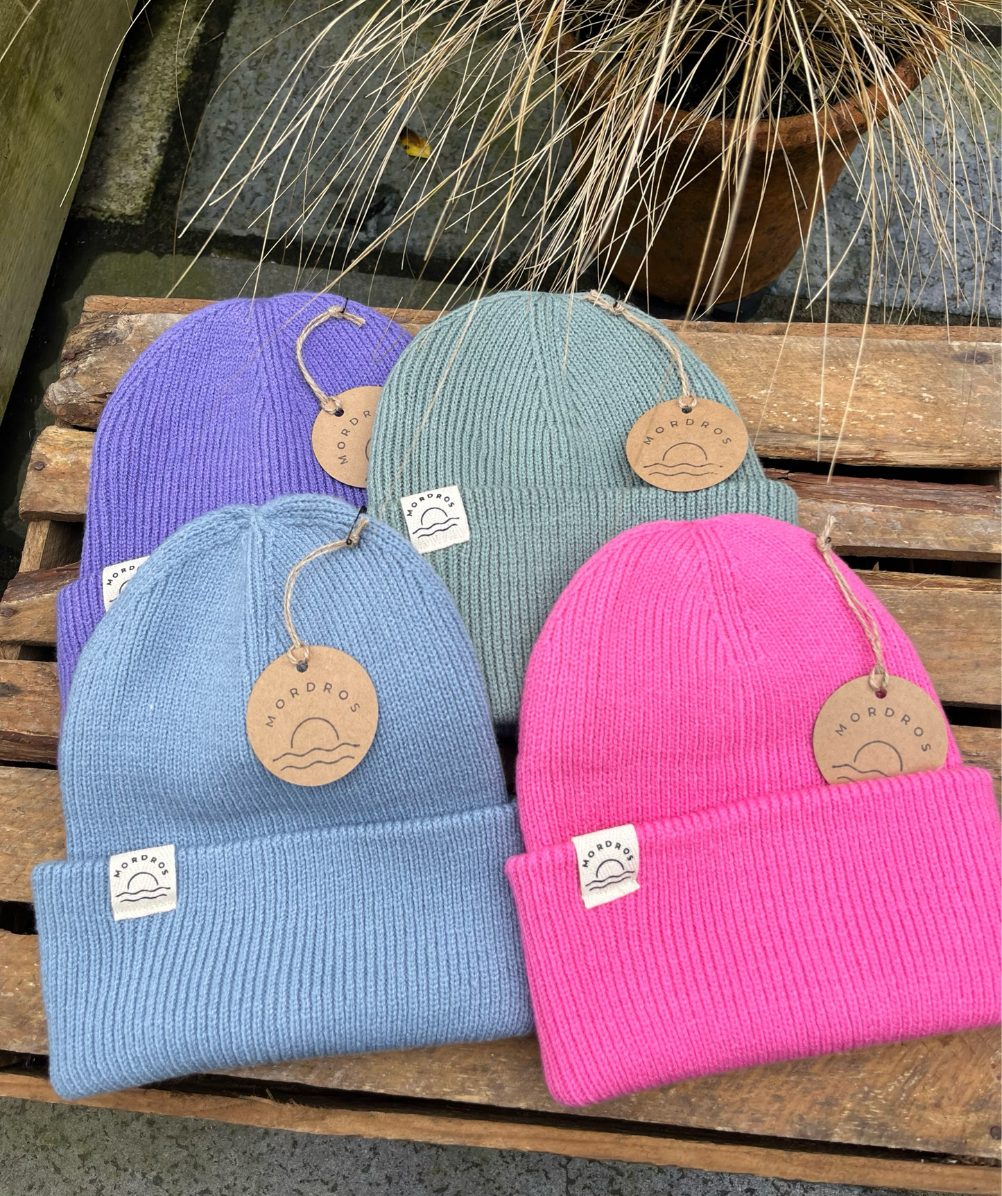 Ladies Colour Pop Beanie