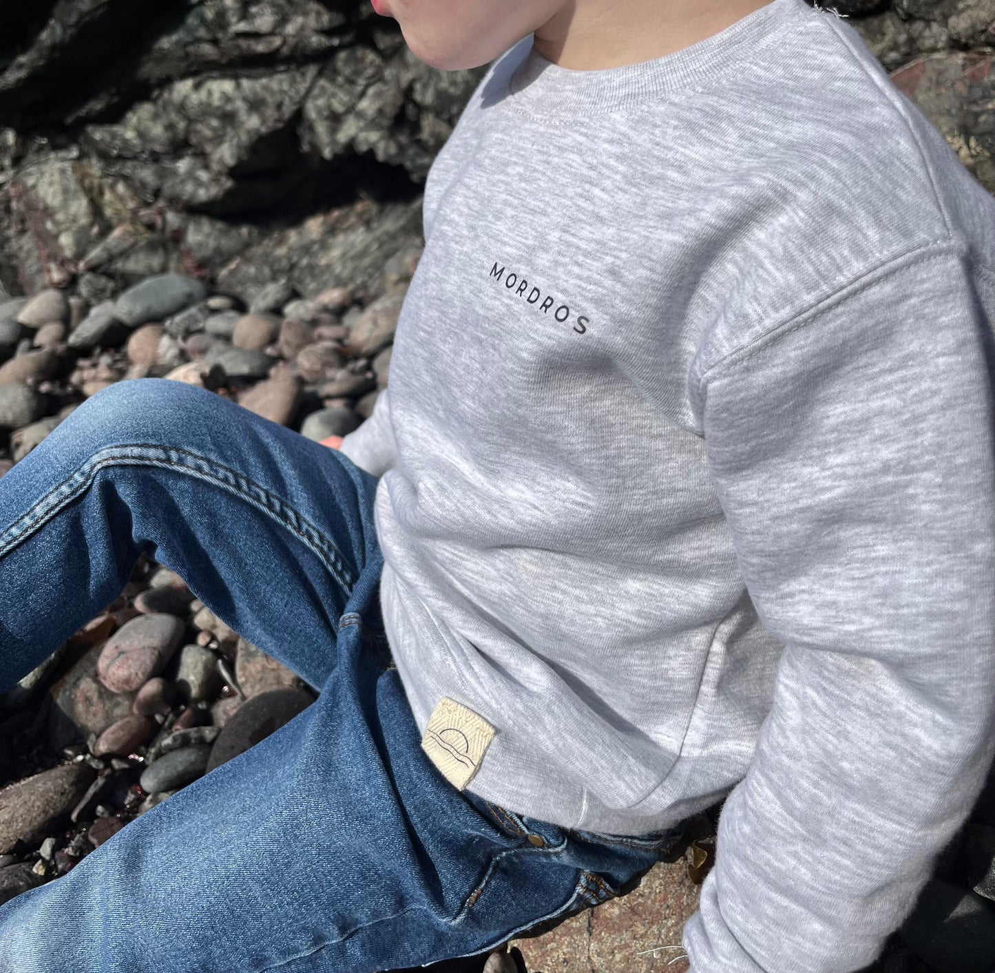 Grey Basking Shark Jumper