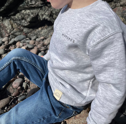 Grey Basking Shark Jumper